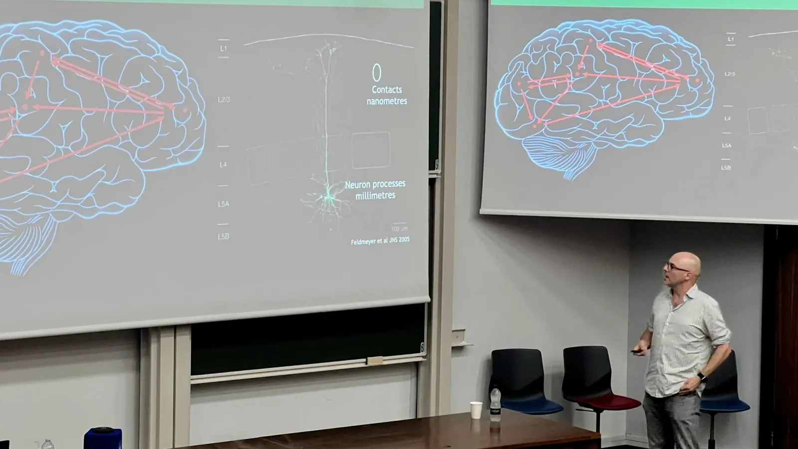 A speaker presenting slides with brain illustrations
